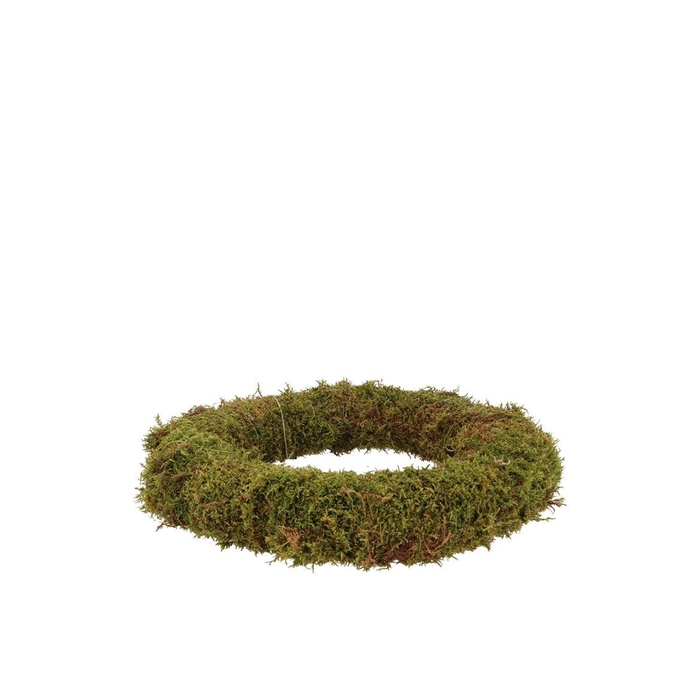 <h4>Nature Wreath Green Moss 20cm</h4>