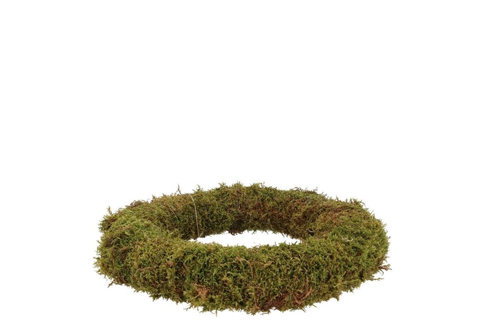 Nature Wreath Green Moss 20cm