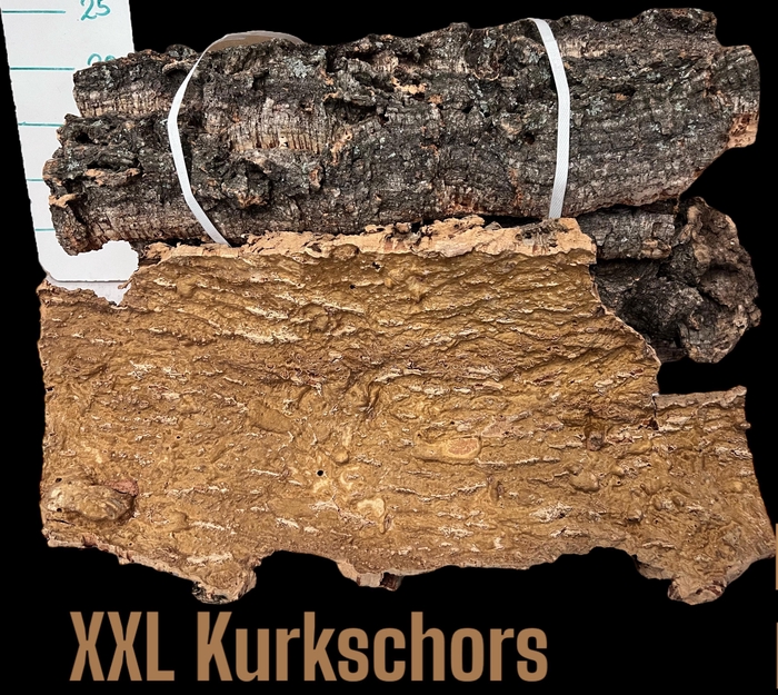 <h4>HUIS EN TUINDECO H%</h4>