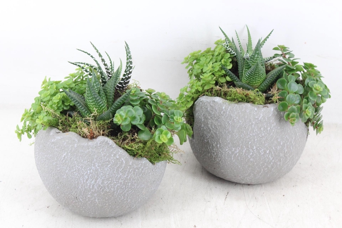 <h4>arr3 SN - Ker. kartel grijs</h4>