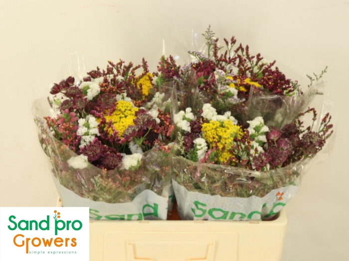 <h4>GEM ZOMERBOEKET</h4>