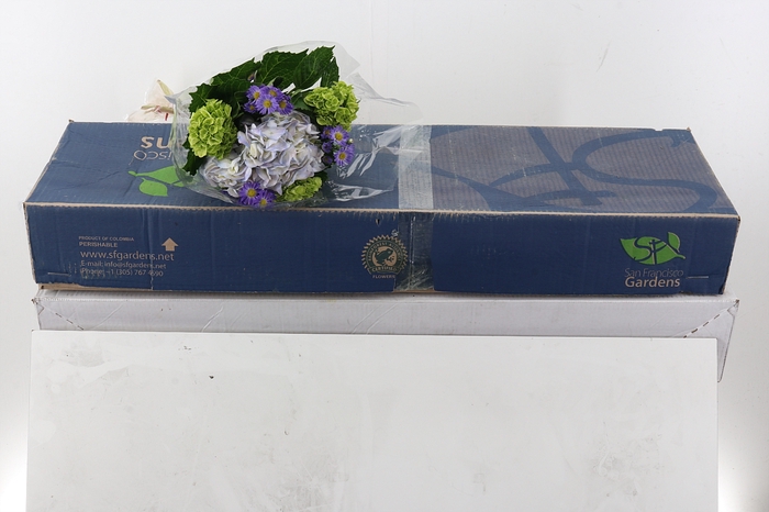 <h4>Hydr Bouquet</h4>