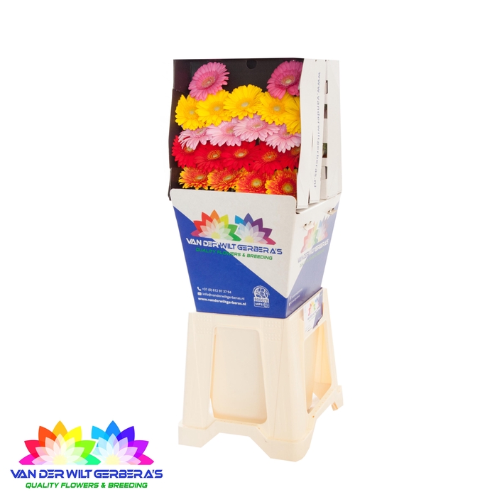 <h4>Germini Mix Diamond</h4>