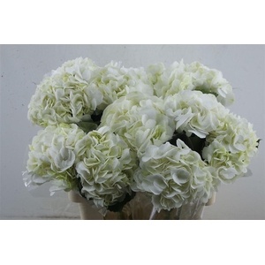 Hydr. M Ice Age 60-18