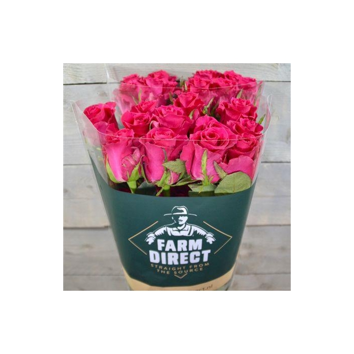 <h4>R Gr Gotcha</h4>