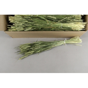 DF Trit.(Tarwe)Nat Gr Bs 150g