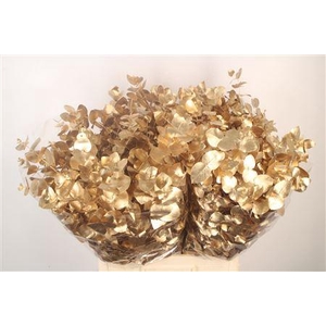 Euca Cin V Antique Gold 400 Gram