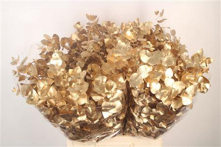 <h4>Euca Cin V Antique Gold 400 Gram</h4>