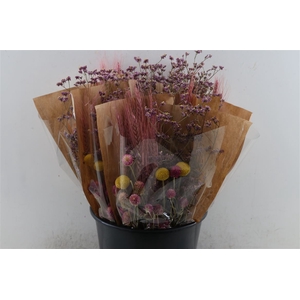 Dried Bouquet Pink X6