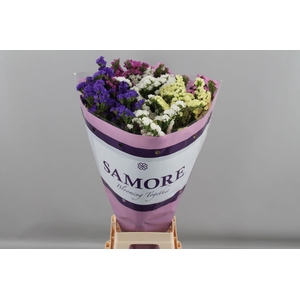 LIMONIUM SINUATUM   ...MIX