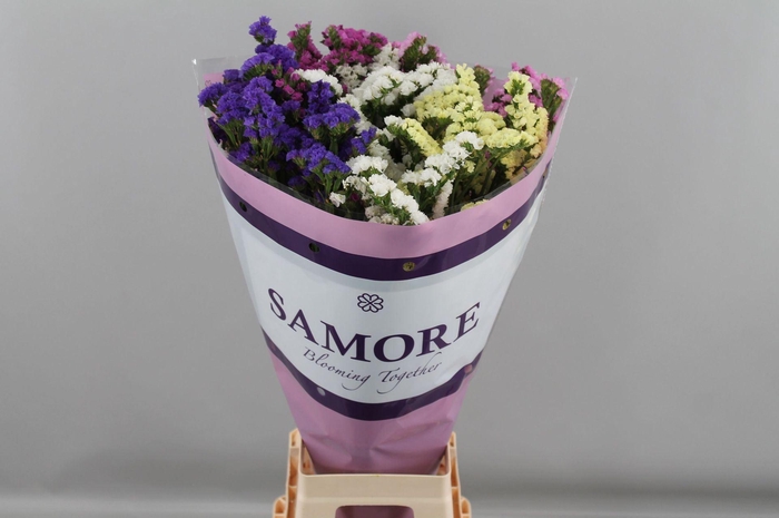 <h4>Limonium sinuatum   ...mix</h4>