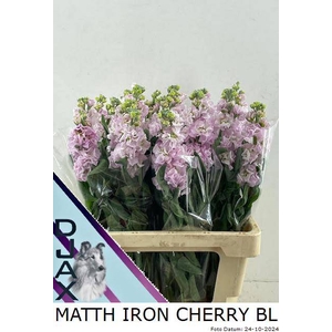 MATTH IRON CHERRY BL