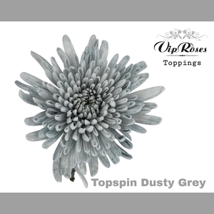 CHR G TOPSPIN DUSTY GREY