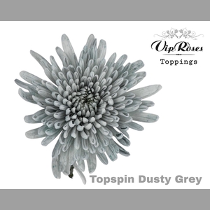 CHR G TOPSPIN DUSTY GREY