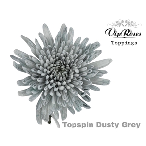 Chr G Vip Topspin Dusty Grey