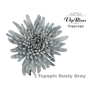 Chr G Vip Topspin Dusty Grey