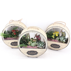 arr3 DT - Hout rond flowers mix