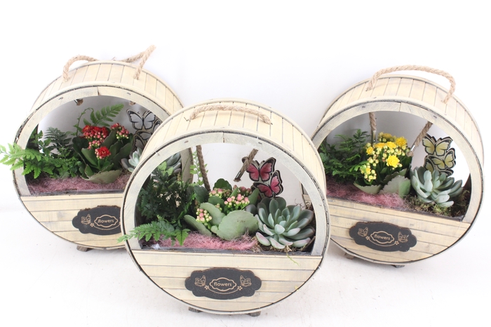 <h4>arr3 DT - Hout rond flowers mix</h4>