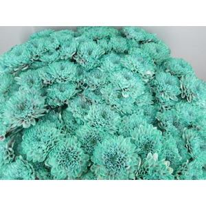 Chr T Altaj Bubbelicious