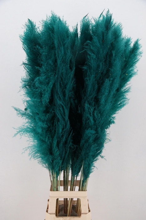 <h4>DROOGBL BEWERKT H%</h4>