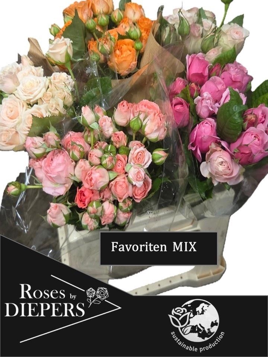 <h4>R TR GEM IN FUST</h4>