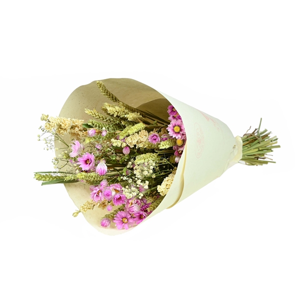 <h4>Bouquet Loose Fit Karen Natural Pink</h4>
