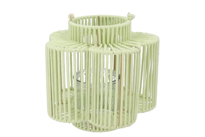 Cruz Pistache Lantern Flower Long 15x28x27cm