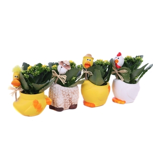 Kalanchoe geel in paas long neck planter