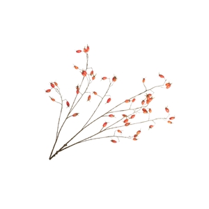 Rosehip Branch Orange LV330157ORA