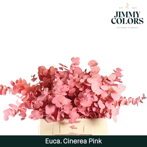 Cinerea per bos 200g Pink
