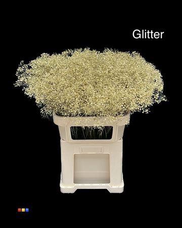 <h4>Gyps Million Star Gold + Glit Bio</h4>