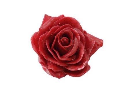 <h4>Wax Rose D10 Red</h4>