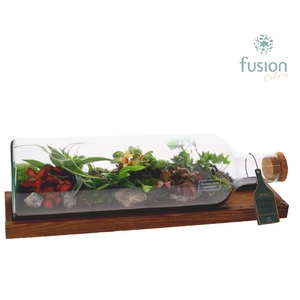 Arrangement Green Bottle Large lying with Green Plants FC-18.957FDH