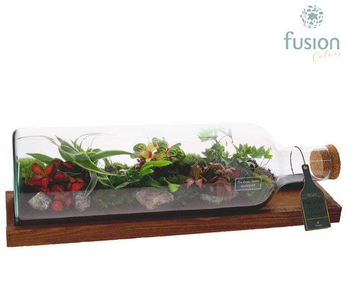 <h4>Green Bottle Fles Large liggend met Groene Planten</h4>