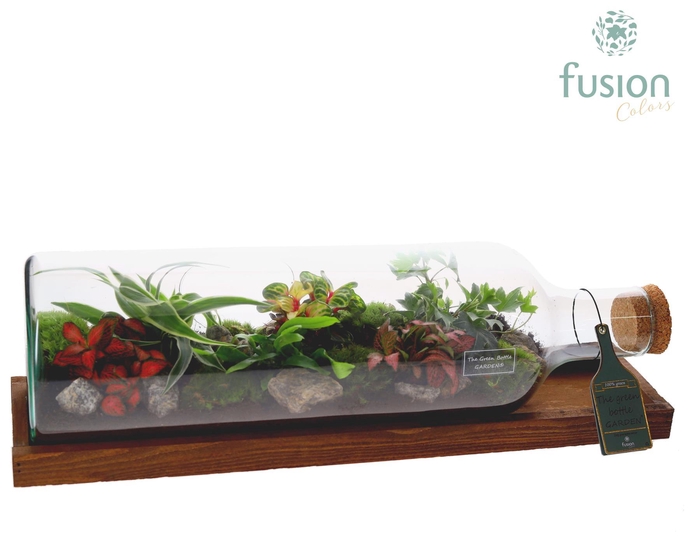 <h4>Green Bottle Fles Large liggend met Groene Planten</h4>