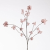 AF Peach Blossom L128cm L.Pink