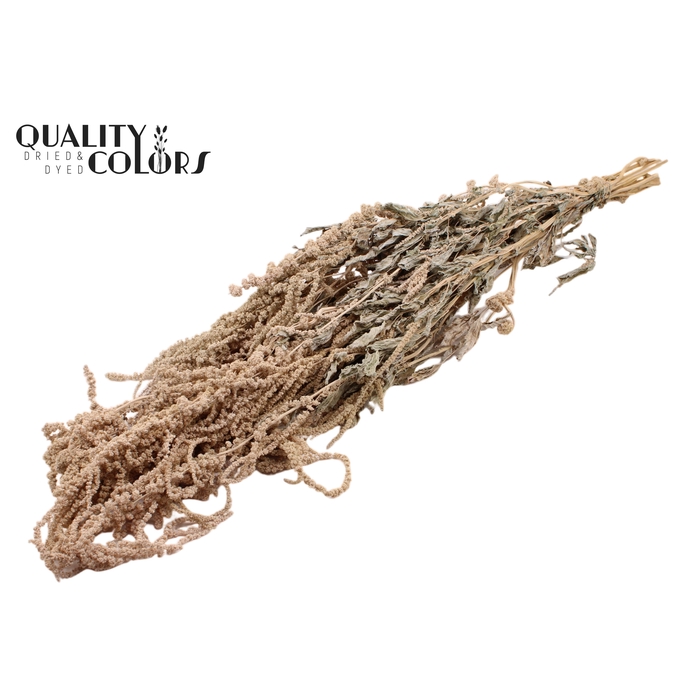 <h4>Hang Amaranthus ±70cm p/bunch Frosted White</h4>