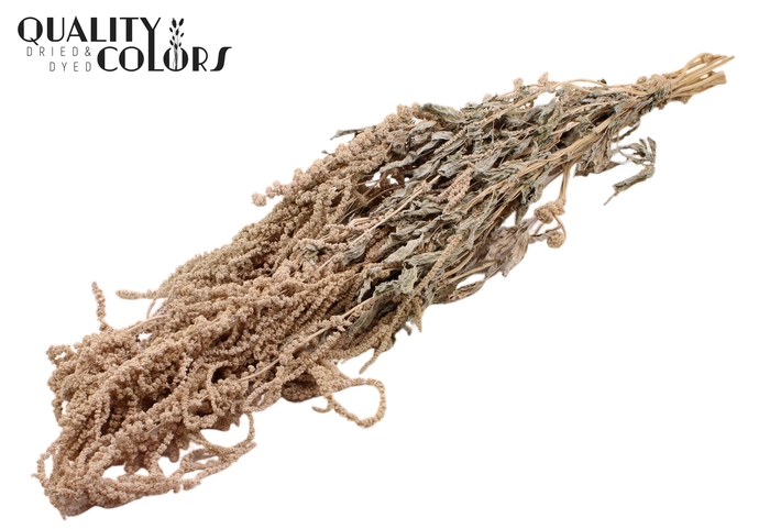 <h4>Hang Amaranthus ±70cm p/bunch Frosted White</h4>