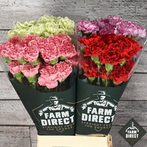 DI ST FANTASY MIX IN FUST