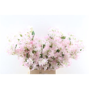 SILK BOUGAINVILLE LICHT PINK WHITE