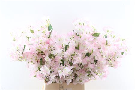 <h4>SILK BOUGAINVILLE LICHT PINK WHITE</h4>