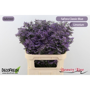 LIM SAF CLASSIC BLUE