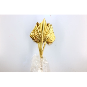 Dried Palm Spear 10pc Gold Bunch