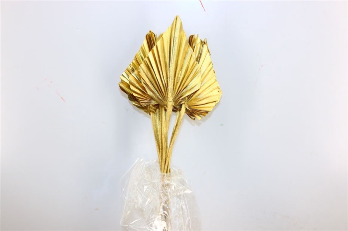 Dried Palm Spear 10pc Gold Bunch