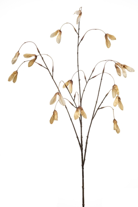 <h4>Maple seed spray beige 100cm</h4>