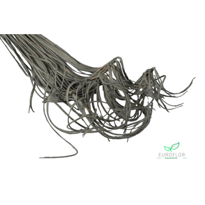 CURLY TING TING 50ST GREY