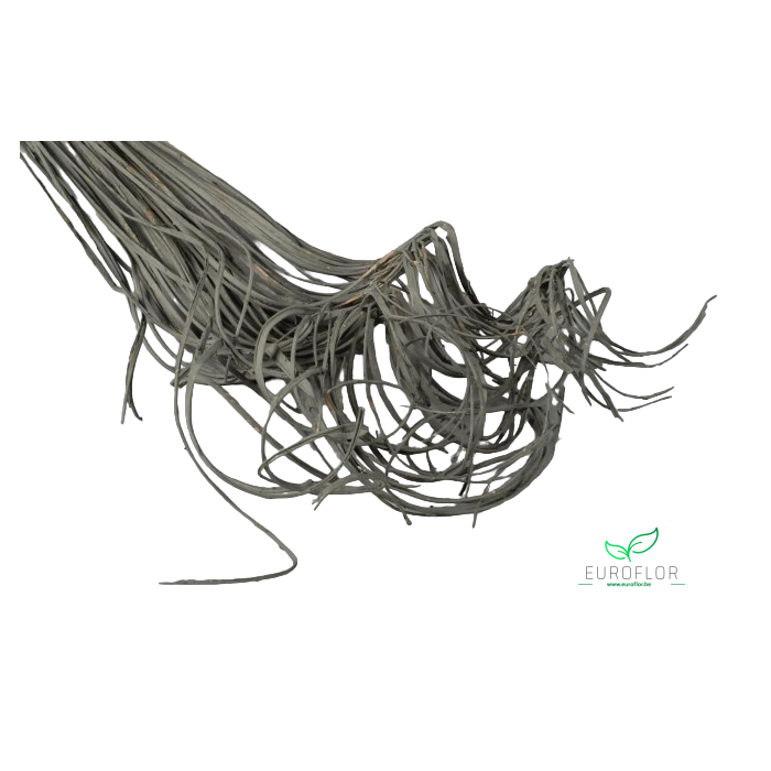 <h4>CURLY TING TING 50ST GREY</h4>