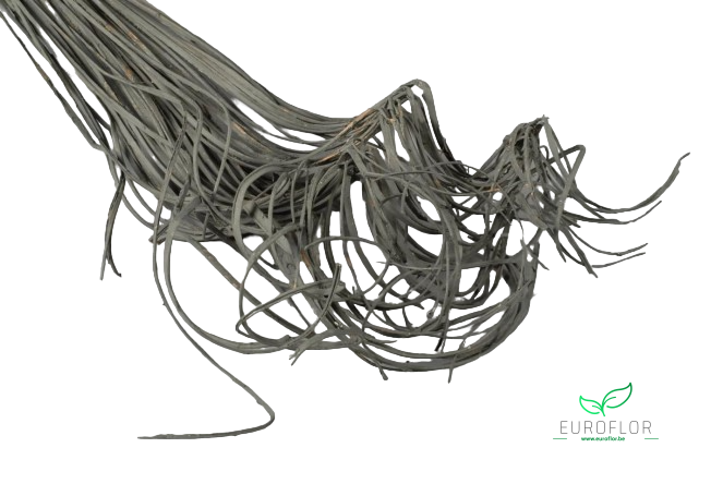 CURLY TING TING 50ST GREY