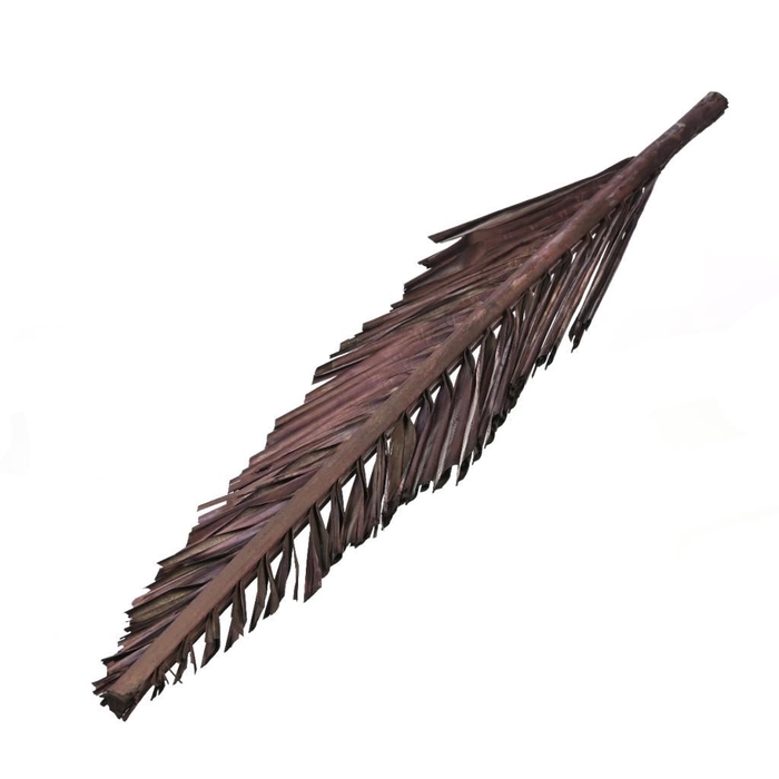 <h4>Coco leaf big cut 75cm deep brown</h4>