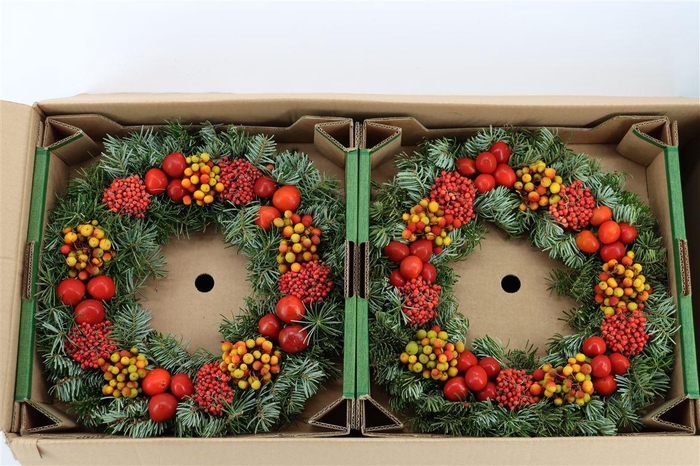 <h4>Wr Sierfruit 40cm (anttar)</h4>